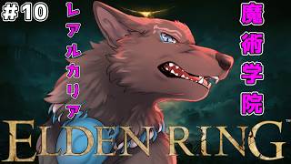 【ELDEN RING】＃10　魔術学院レアルカリアに潜入！⚔🐺【津軽弁狛犬Vtuber】【エルデンリング】