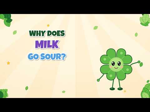 Why Does Milk Go Sour? | A Million Whys