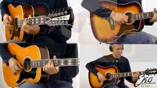 Video thumbnail of "Massimo Varini Plays Hotel California (Eagles) with Eko Guitars RANGER VR"