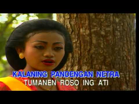 Sekar Kinanthi Subakastawa nalikanira ing dalu, macapat Purwadi