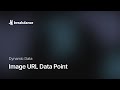 Image URL Data Point
