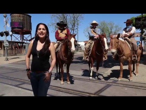 Fort Worth, Texas atrae por sus distritos históricos, acarreo de ganado, vaqueros y compras