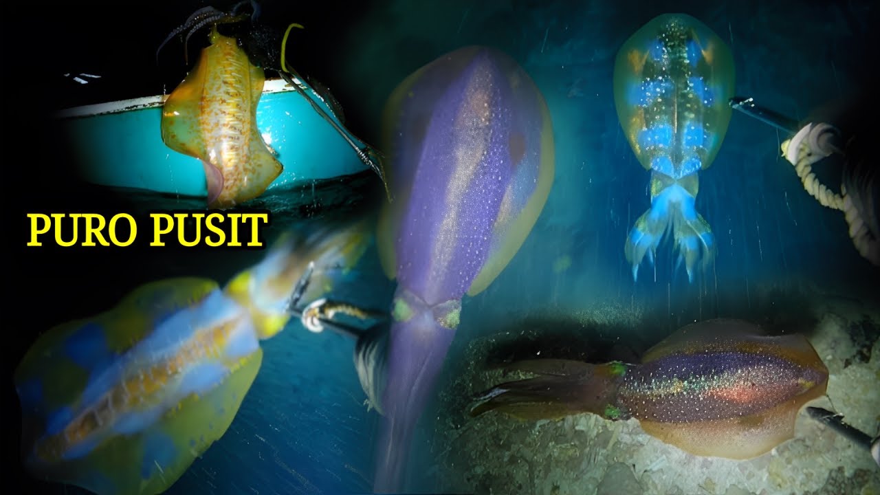 EP 461:  PURO PUSIT 🙏🙏