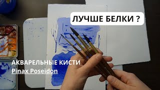 САМЫЕ УНИВЕРСАЛЬНЫЕ КИСТИ ДЛЯ АКВАРЕЛИСТА //Pinax Poseidon