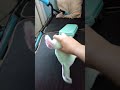 tremendo #dance #ajolote #humor #funny #meme #perreo #peluches