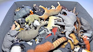 Wild Animal Toys, Animal Names - Panda, Wolf, Black Bear, Sloth, Tapir, Porcupine, Indian Rhinoceros