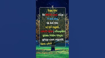 #80 Triết Lý Giáo Dục Tận Gốc | Stephanie Xuan Official #trietlynhansinh #WIT #toathi