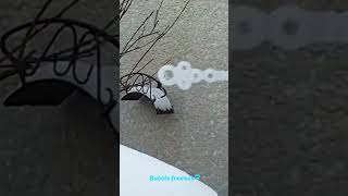 So cold a bubble freezes in midair #shorts #freezerice #cold #interesting