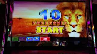 Big Win!!!! Mighty Lion Bonus! 🦁