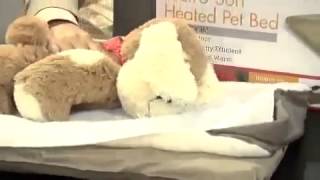 Lectro Soft Heated Outdoor Dog Pet Bed - K&H screenshot 3