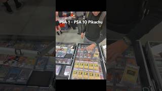 PSA 1 through PSA 10 Graded piakchu set #pokemon #myteamforscarletandviolet
