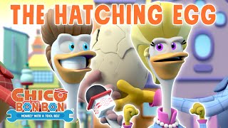 The Hatching Egg!  | Chico Bon Bon Adventures | @OctonautsandFriends   ​