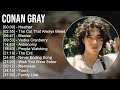 Conan Gray 2025 MIX 1 HOUR Heather The Cut That Always Bleeds Maniac Vodka Cranberry 