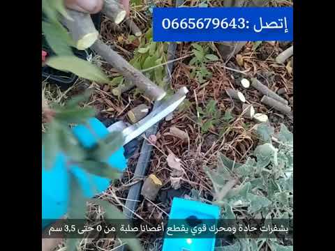 مقص التقليم الكهربائي