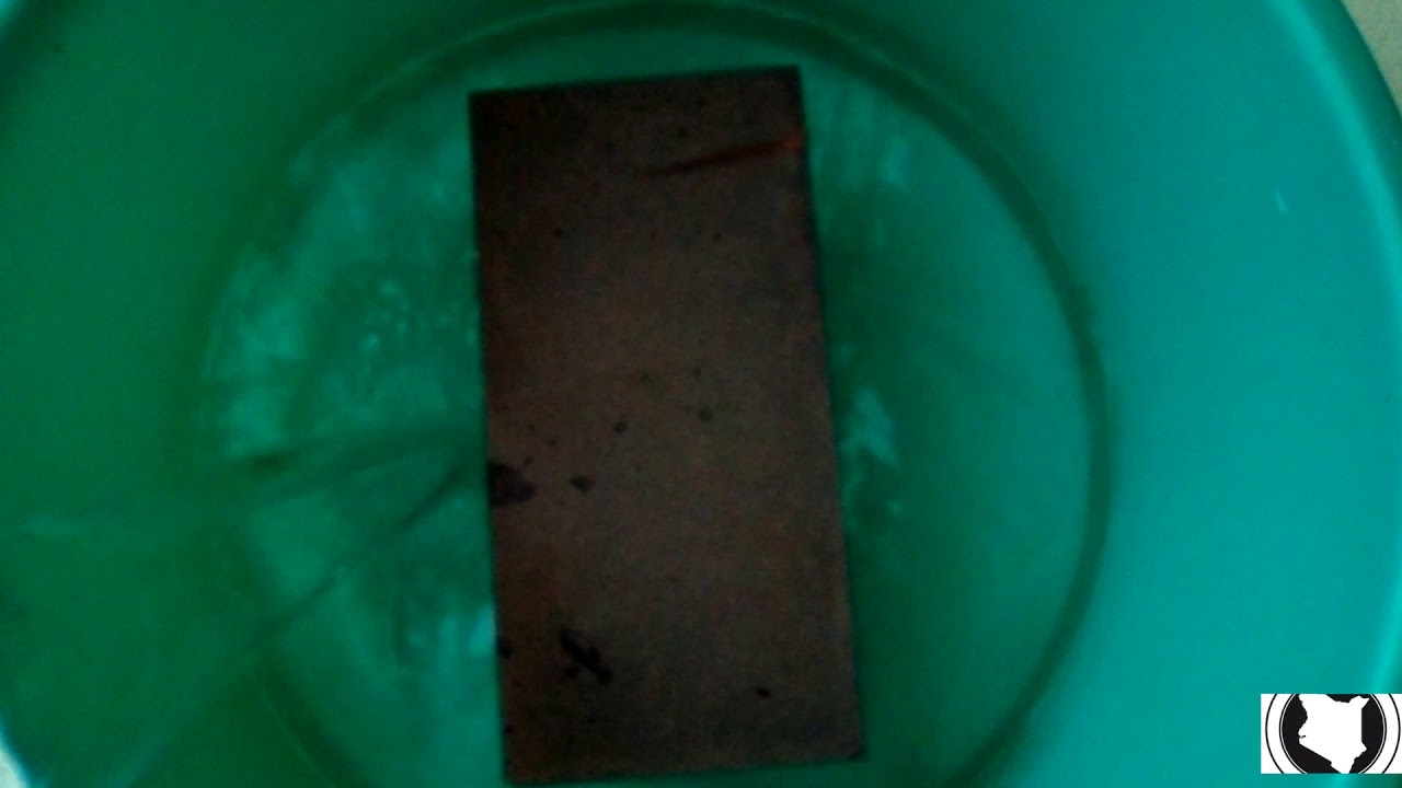 How to Clean A Turtle Tank : Terrapin : Red Ear Slider