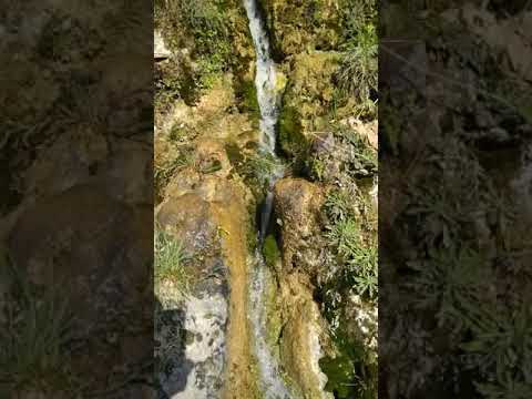 عين عيش رمان