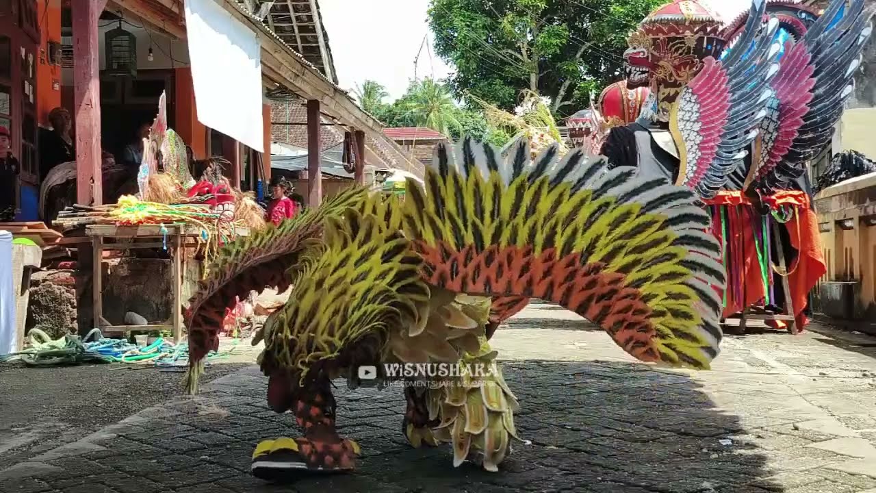 🔴 Live JARANAN SINGOROJO PURWOSAKTI | GOMBOLIRANG KABAT | BANYUWANGI