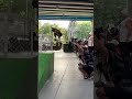 Front nose goal slide 👌