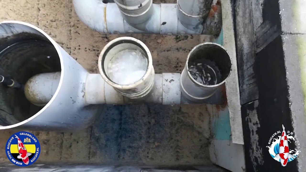 KoiCave ON TOUR, op bezoek bij...#28 Joris in Eibergen.