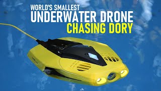 Chasing Dory Rov Review - Worlds Smallest Underwater Drone Danstube.tv