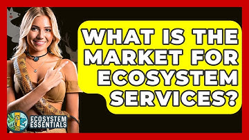 What Is The Market For Ecosystem Services? - Ecosystem Essentials