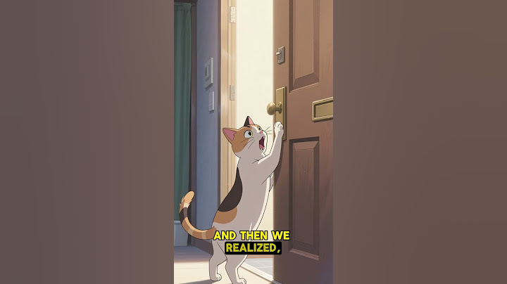 My Cat Thinks He’s a Dog… and He’s Not Wrong 🐱🐶 #funnycatshorts #catvsdog #petcomedy