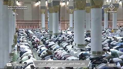 صلاة المغرب للشيخ د. #عبدالمحسن_القاسم 24 صفر 1446هـ سورة الإنفطار كاملة #المسجد_النبوي 
