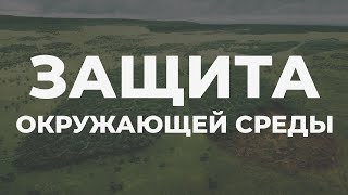 Экоинициативы для защиты окружающей среды