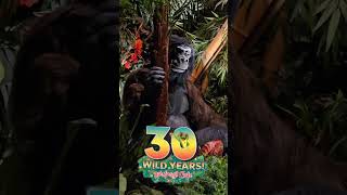 Rainforest Cafe Happy 30th Anniversary! Menlo Park NJ #shorts #rainforestcafe #anniversary