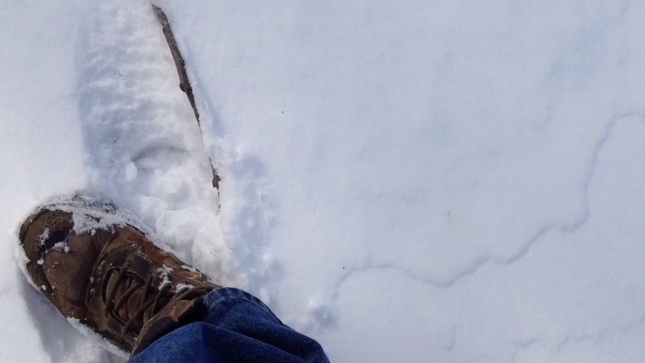 Shinobi Scroll Studies: Stepping in Snow