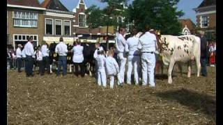 GPTV: Kokedei en hoedjesdag in Workum