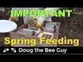 Importance of Spring Feeding Honeybees