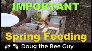 Importance of Spring Feeding Honeybees