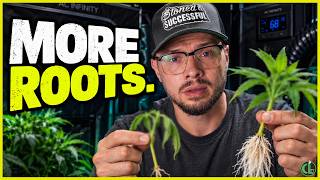 15 Cloning Tips Every Grower Needs to Know!