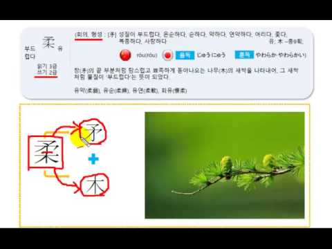 부드럽다柔유