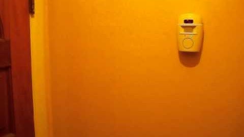 REMOTE CONTROL MOTION SENSING ALARM