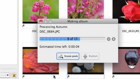 Making your first Jalbum album