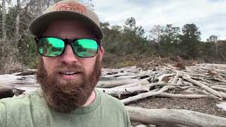 Ocala’s Driftwood Beach | Exploring Ocala National Forest 
