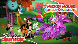  Este Vremea Lui Dino Mickey Mouse Casa Distracției Disney Junior România