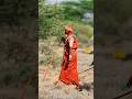 BEST OF SAMBURU 3025 Samburu Samburucounty Subscribe Africa 