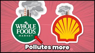 Surprising Fact About WEBSITE CARBON FOOTPRINT
