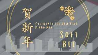 Celebrate the New Year (Piano Mix) by Soft Bee (Official Visualiser) screenshot 4