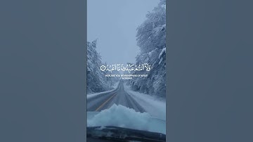 سورة الكافرون/#قرآن_كريم #أرح_قلبك #القارئ_احمد_العجمي #راحة_نفسية 🎧❤😴
