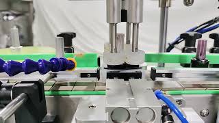 Famous Automatic capping machine tabletop type, small automatic cap screw machine from LIENM Profile
