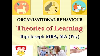 Theories of Learning in Organizational Behavior