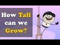 How Tall Can We Grow More Videos Aumsum Kids Science Education Children