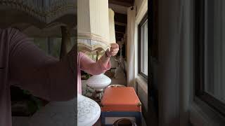 Lamp Shade Covers.. ugh! Why?!!