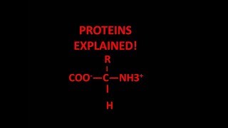Proteins explained! Information