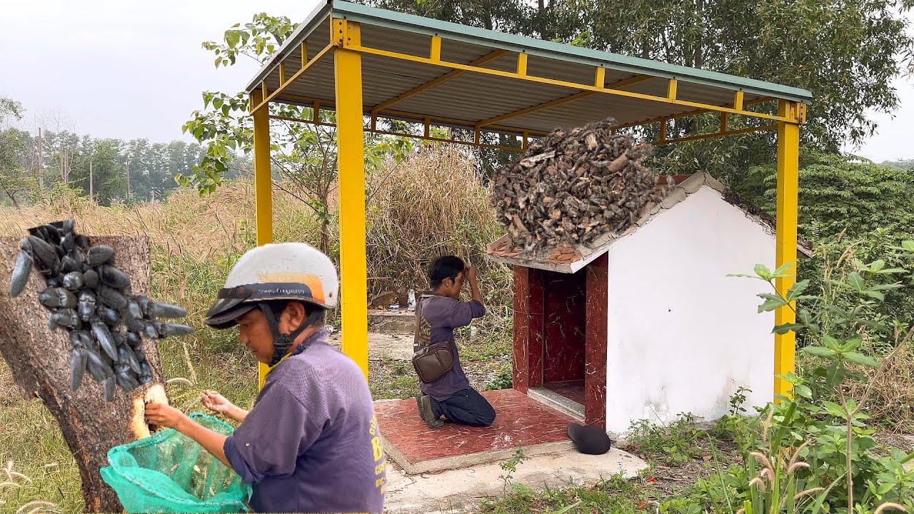 Bất Ngờ Xuất Hiện Nam Thanh Niên Kiếm Tiền Triệu Mỗi Ngày Làm Công Việc Này Ít Ai Biết Đến