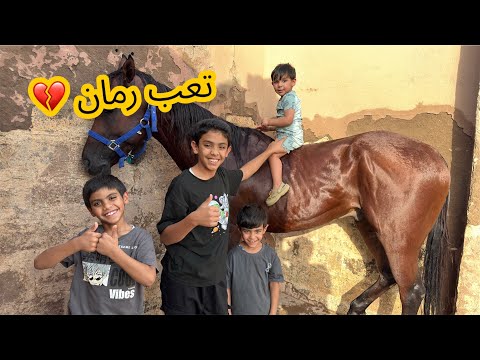 تعب رمان وطريقة الإسعافات الأوليه لحرارة الخيل